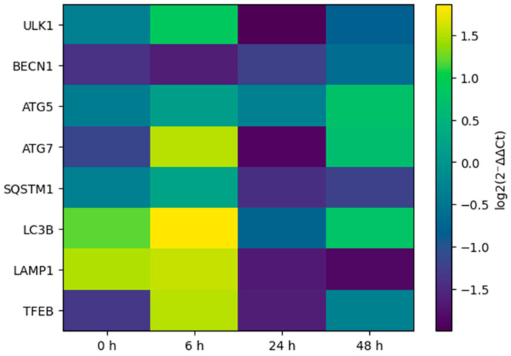 Figure 5