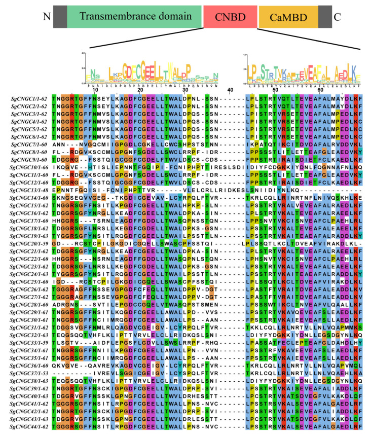 Figure 2