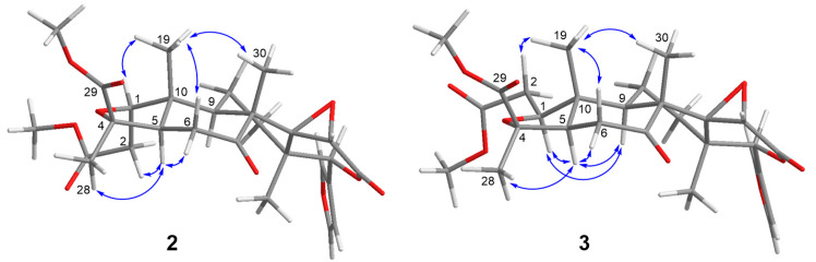 Figure 8