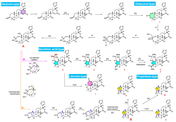 Figure 13