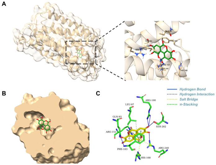 Figure 2