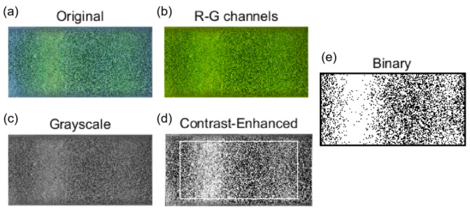 Figure 5