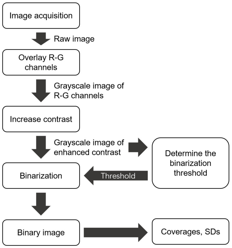Figure 11