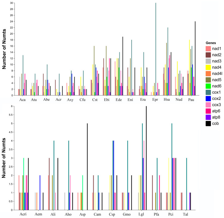 Figure 5