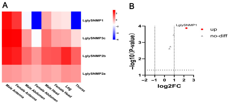 Figure 12