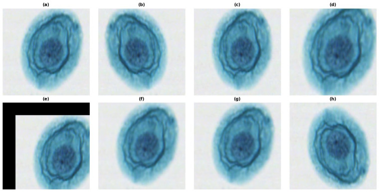 Figure 6