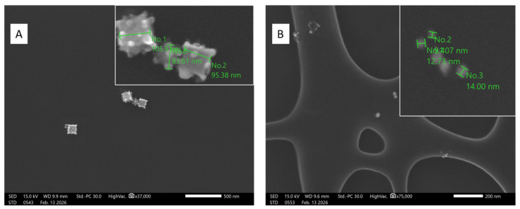 Figure 21