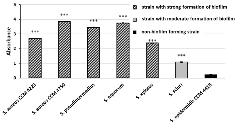 Figure 22
