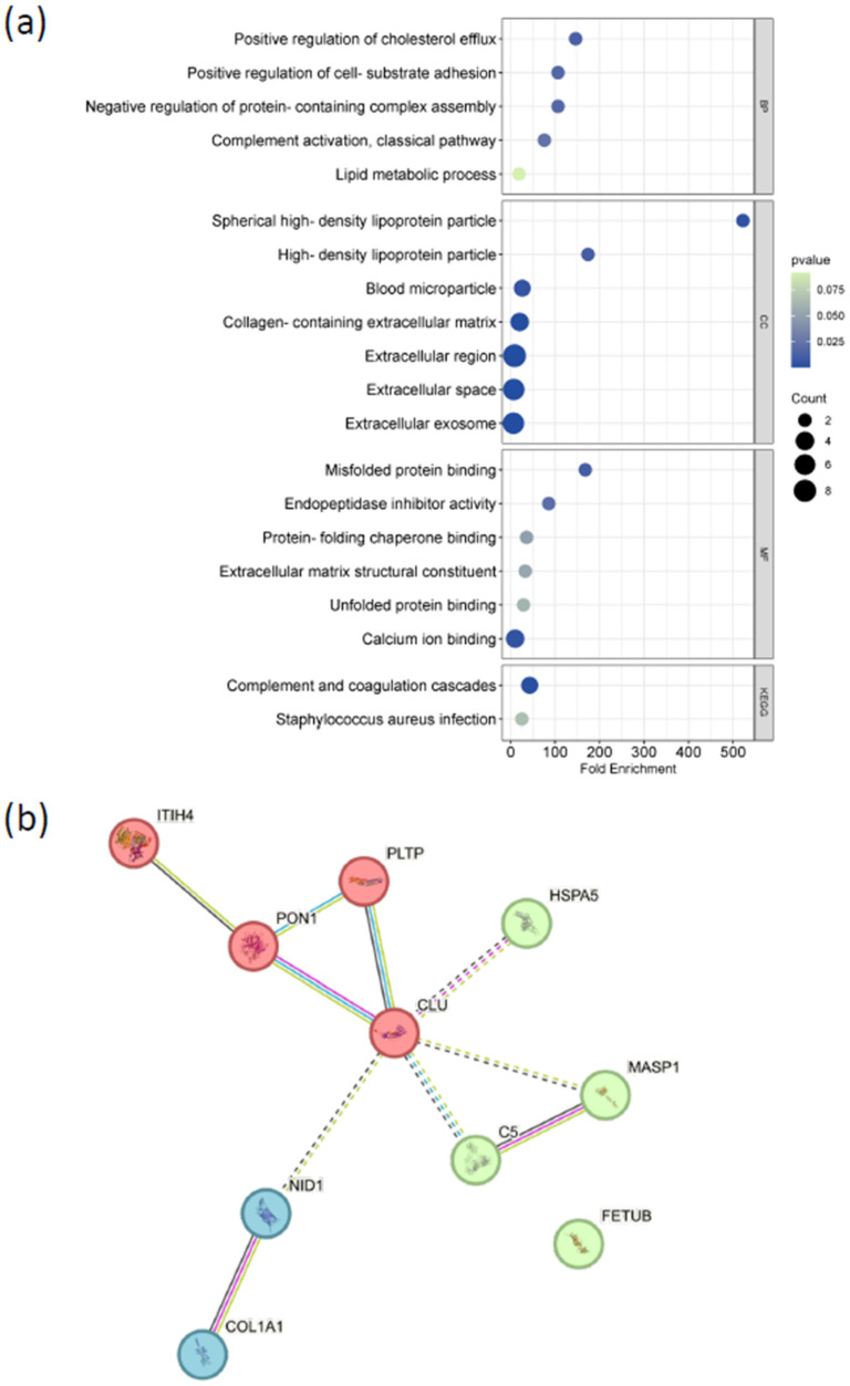 Figure 10