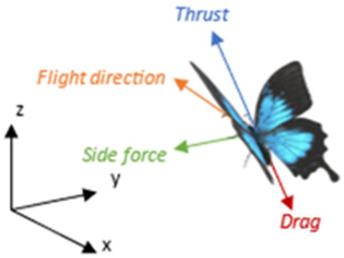 Figure 6