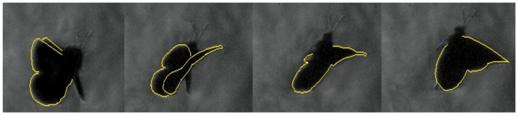 Figure 9