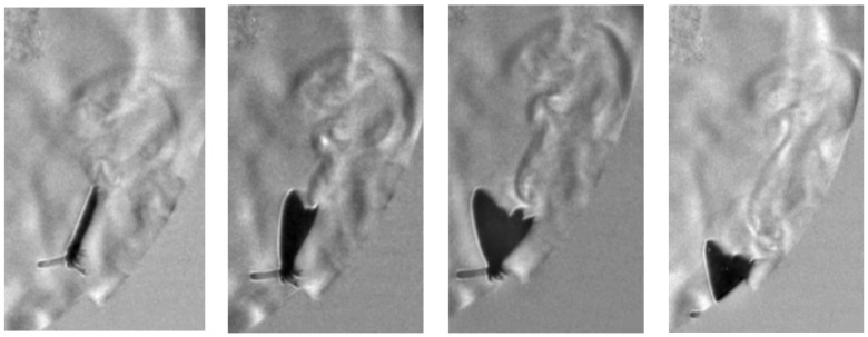 Figure 12