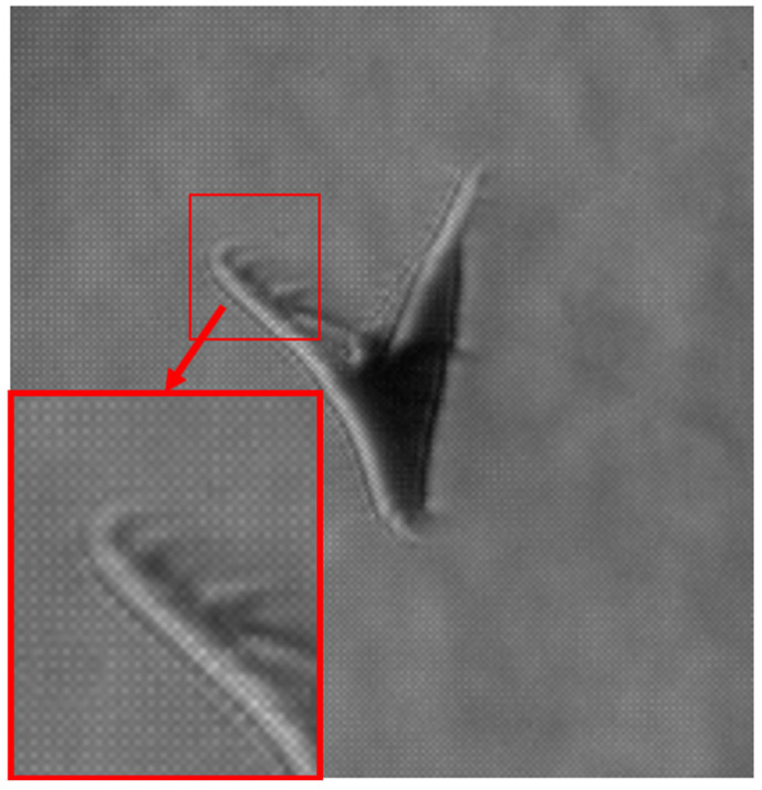 Figure 13