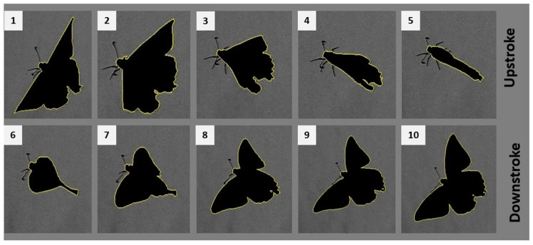Figure 16