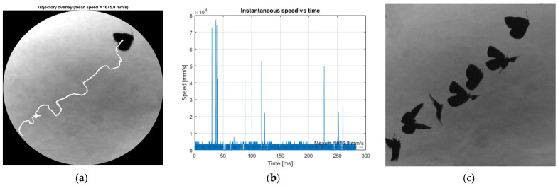 Figure 19