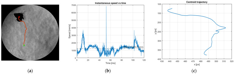 Figure 21