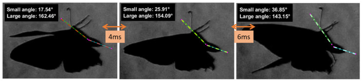 Figure 23