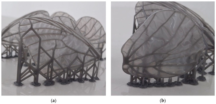 Figure 26