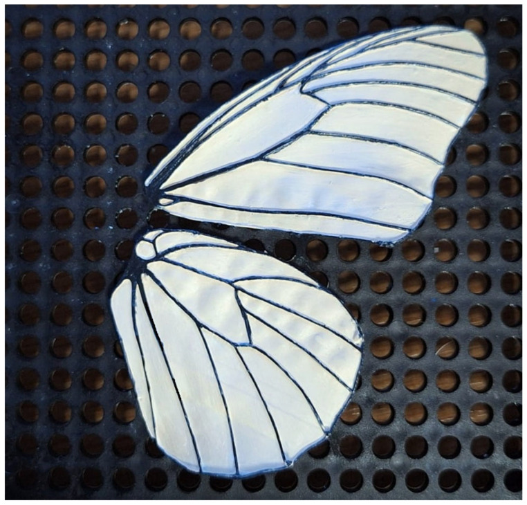 Figure 27