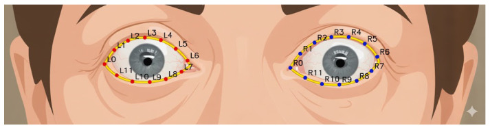 Figure 11