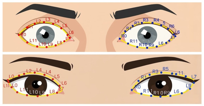 Figure 17