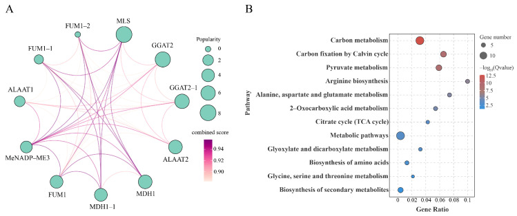 Figure 11