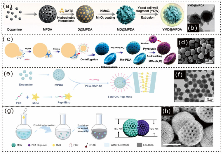 Figure 11
