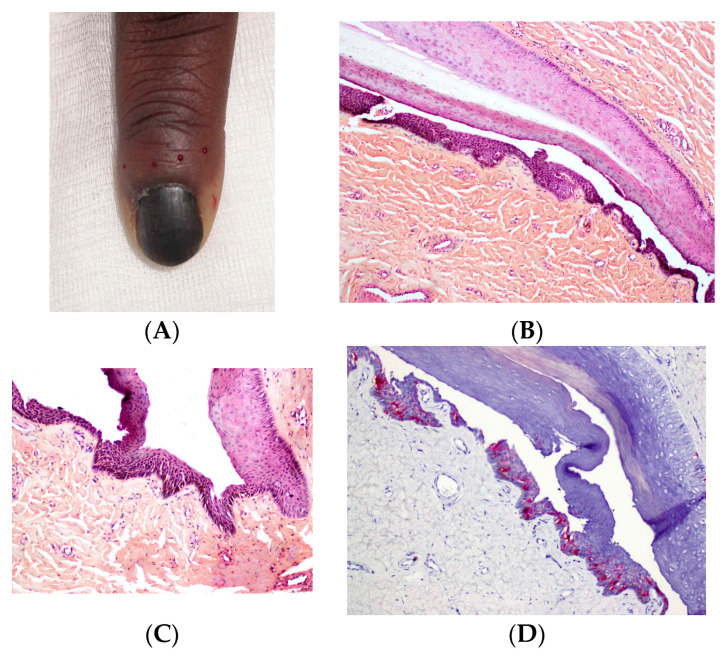 Figure 10