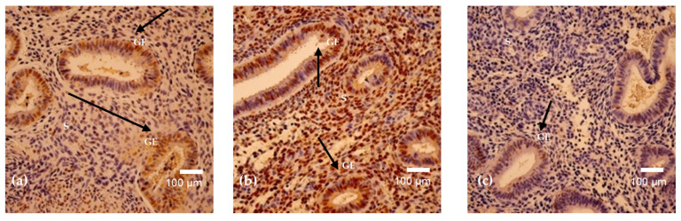 Figure 8