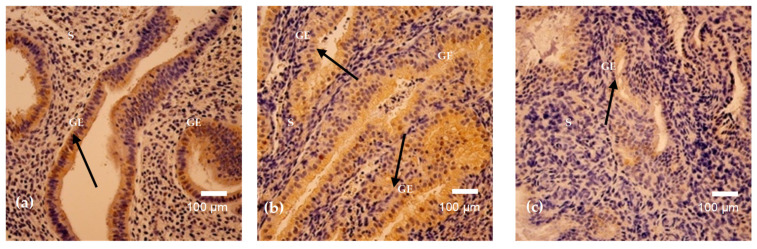 Figure 9