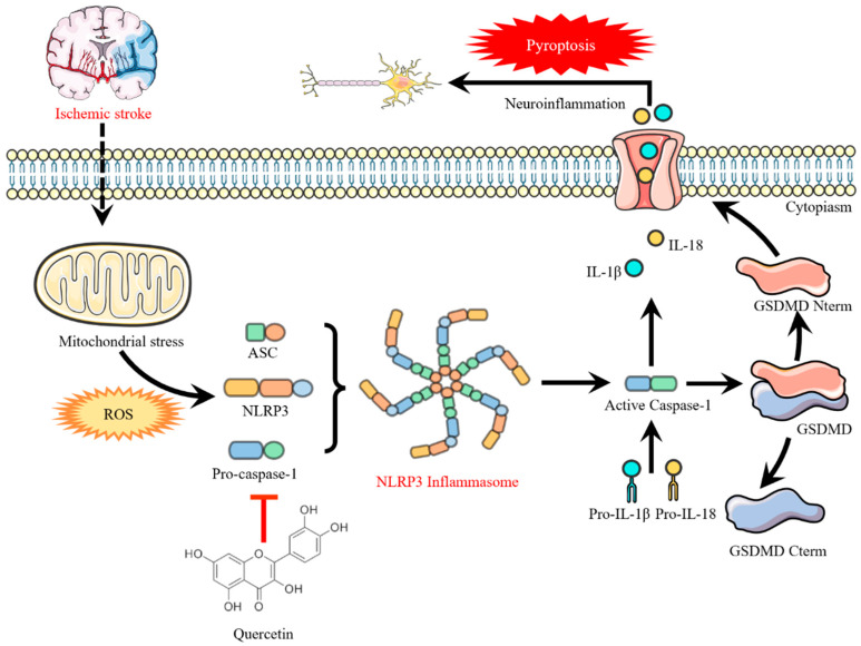 Figure 6