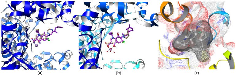 Figure 4