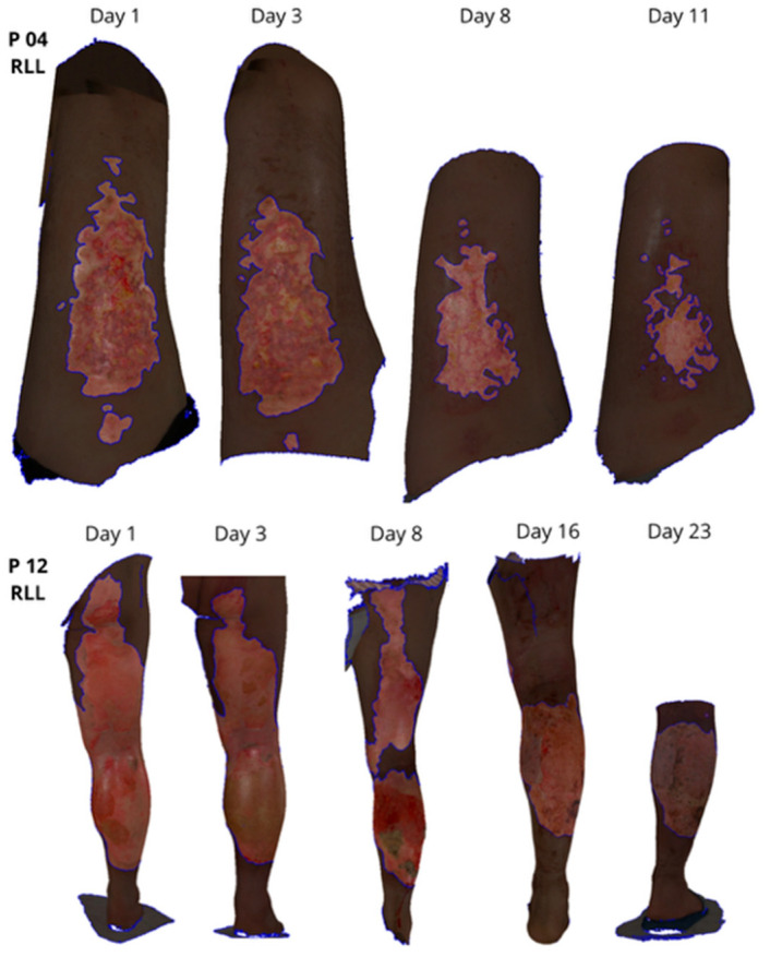 Figure 4