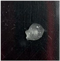 Figure 14
