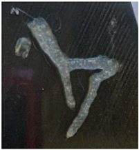 Figure 15