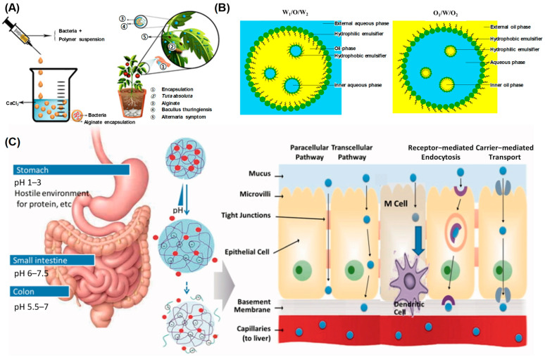 Figure 10