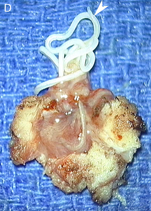 Figure 16