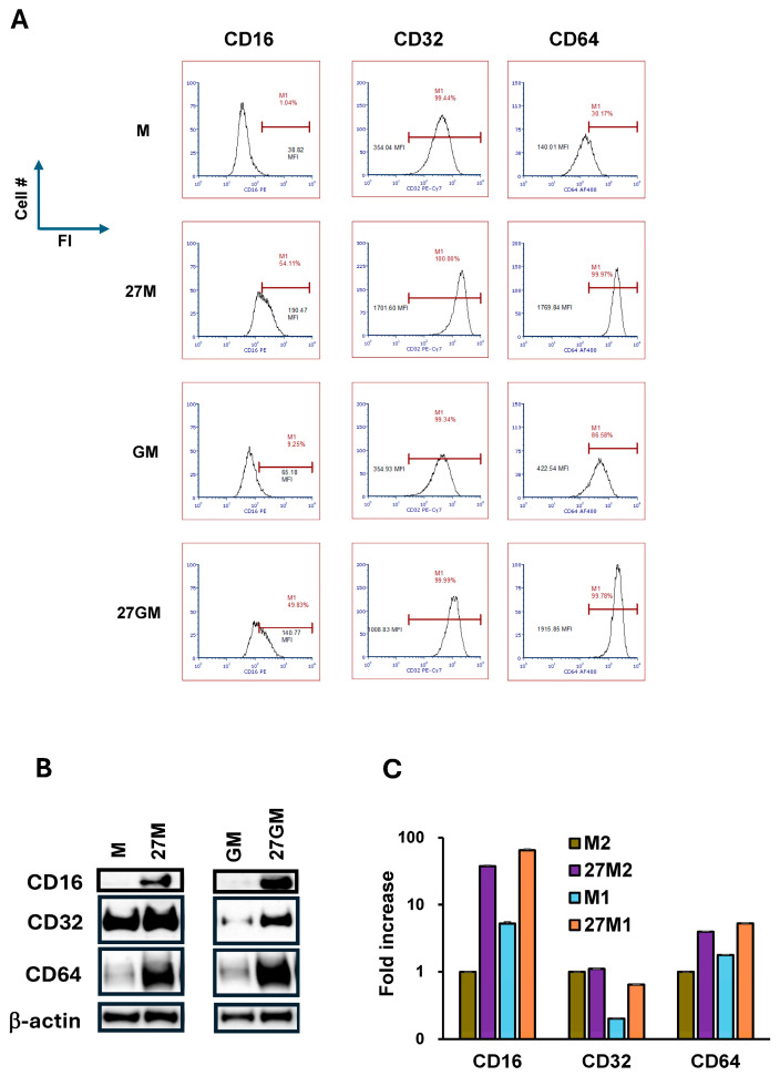 Figure 13