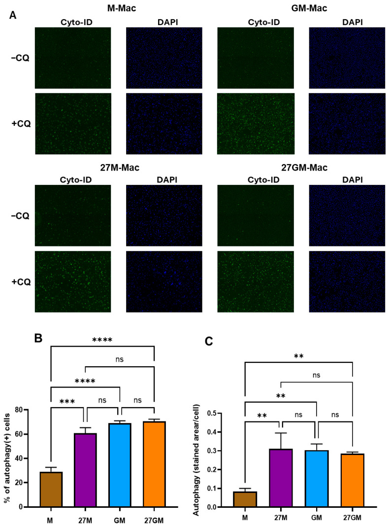 Figure 16