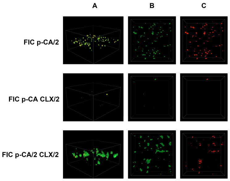Figure 10