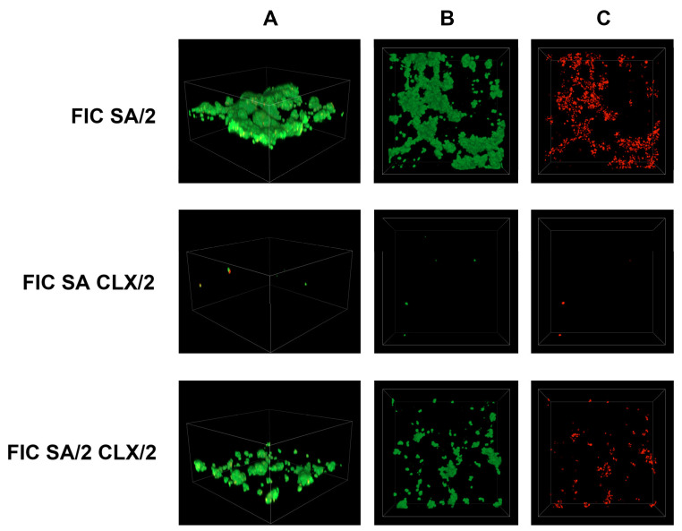 Figure 11