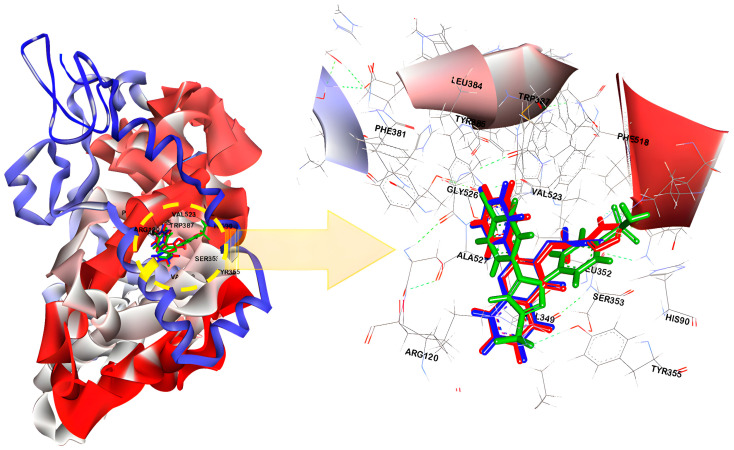 Figure 6