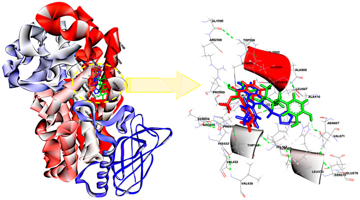 Figure 9