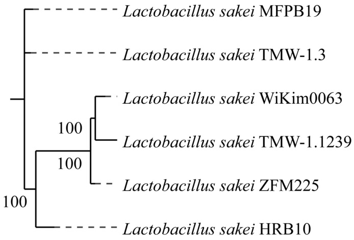 Figure 6