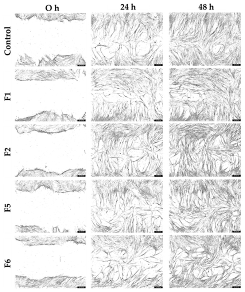 Figure 12