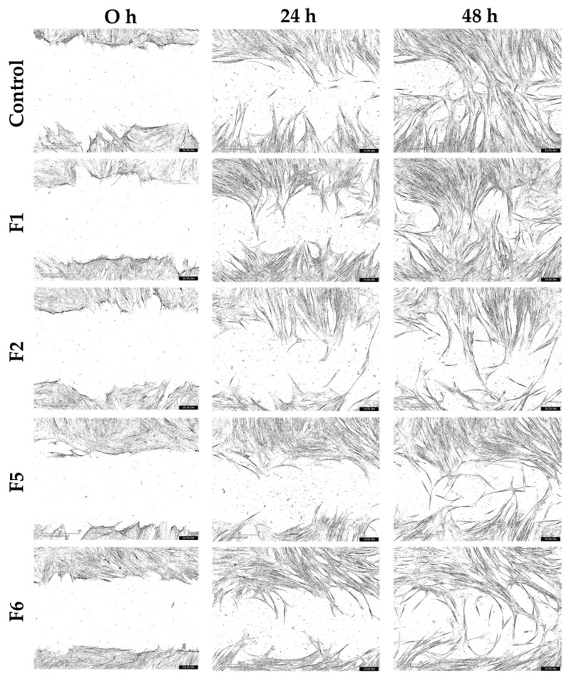 Figure 13