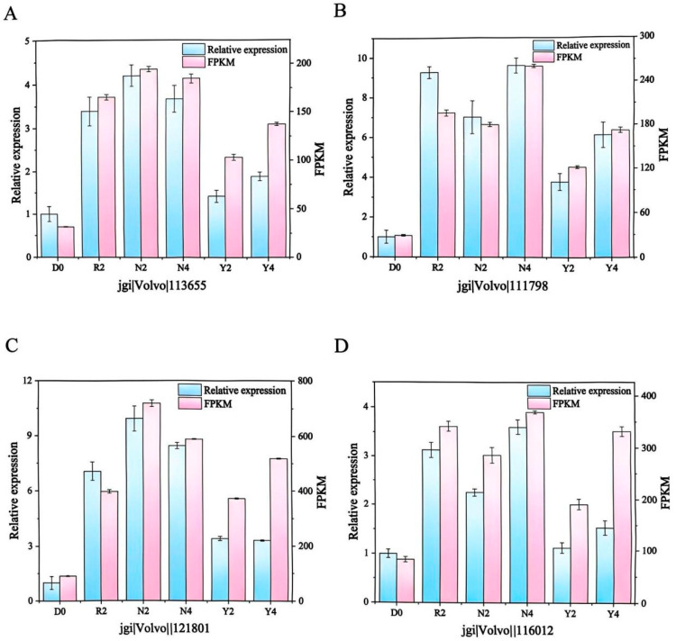 Figure 4
