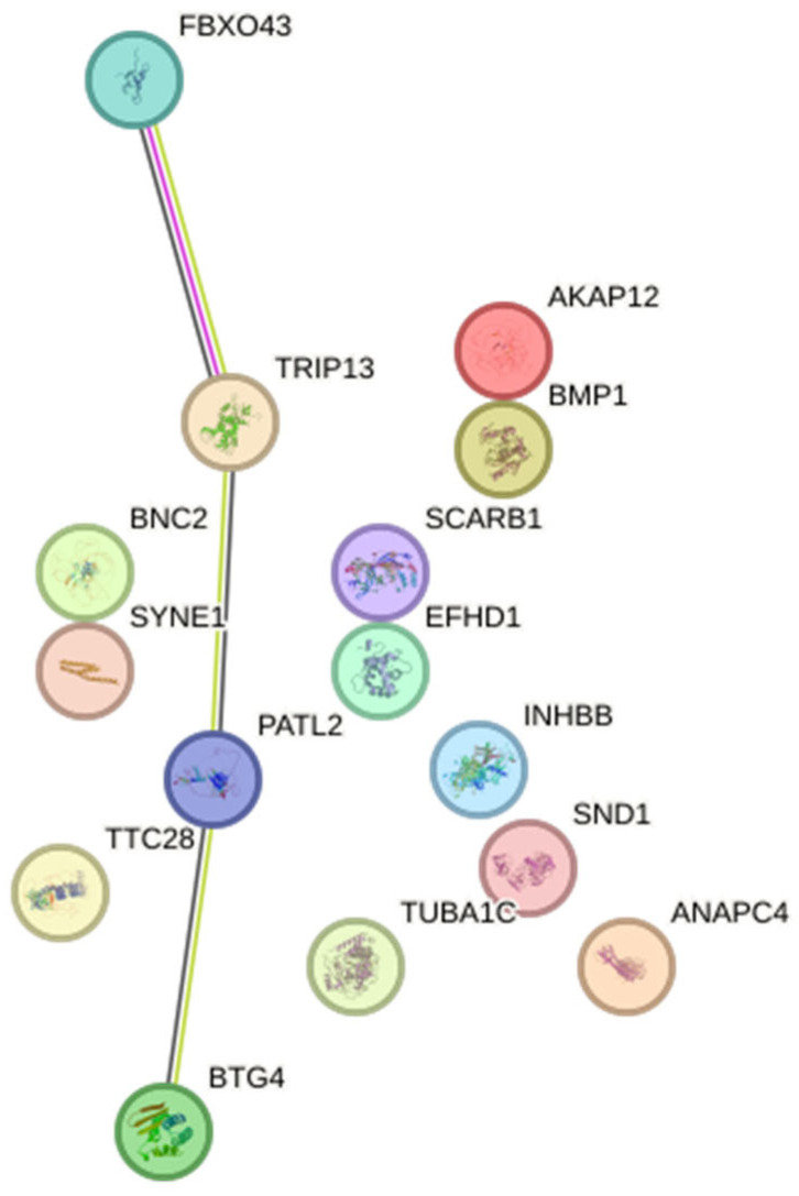 Figure 5
