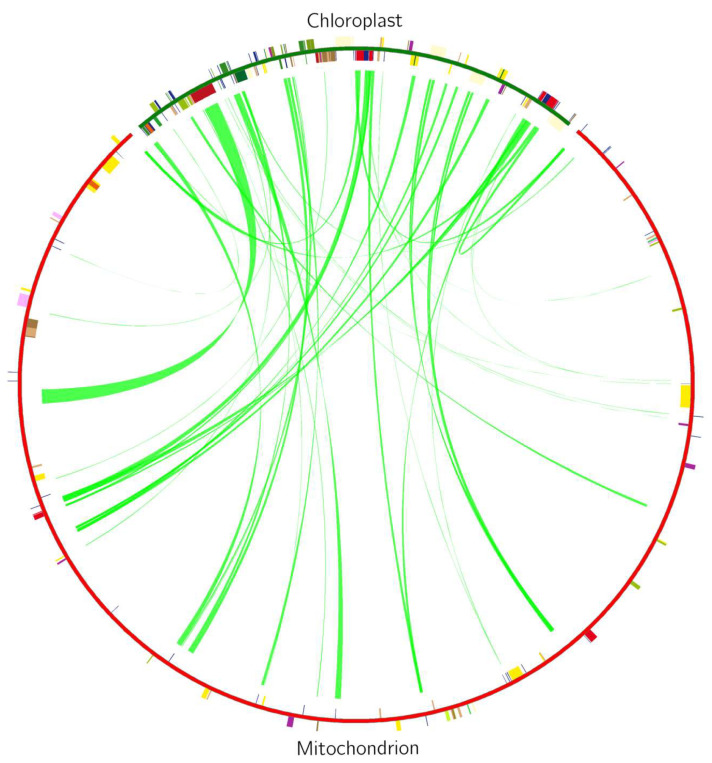 Figure 9