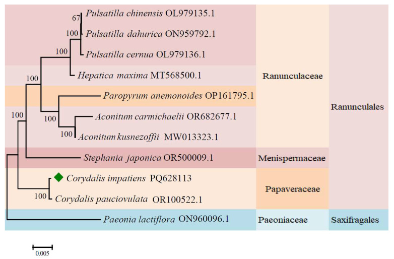 Figure 10